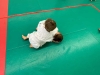 freecompress-IMG-20241214-WA0037